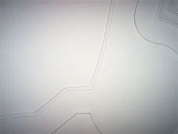 A`minimal kitsch&acute;room installation, shifting the borderlines of `traditional&acute;aspects of sculpture, photography, architecture 